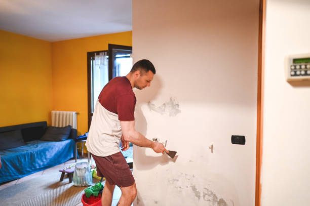 Best Local Mold Removal Service  in Eastman, GA