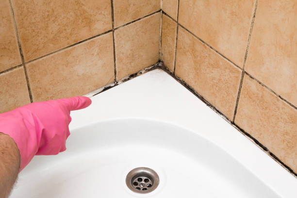 Best Home Mold Removal  in Eastman, GA